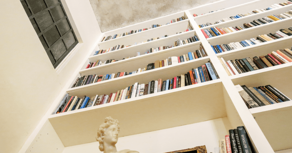 books on wall book shelf